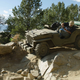 Illustration for article titled Theres Nothing Cooler Than Flat-Fender Jeeps Offroading